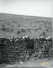 An old cast-iron oven set into the wall of a field on the south side of Grinton. The oven is actually set on the moorland side of the wall. I would be grateful if anyone has information about this intriguing object.